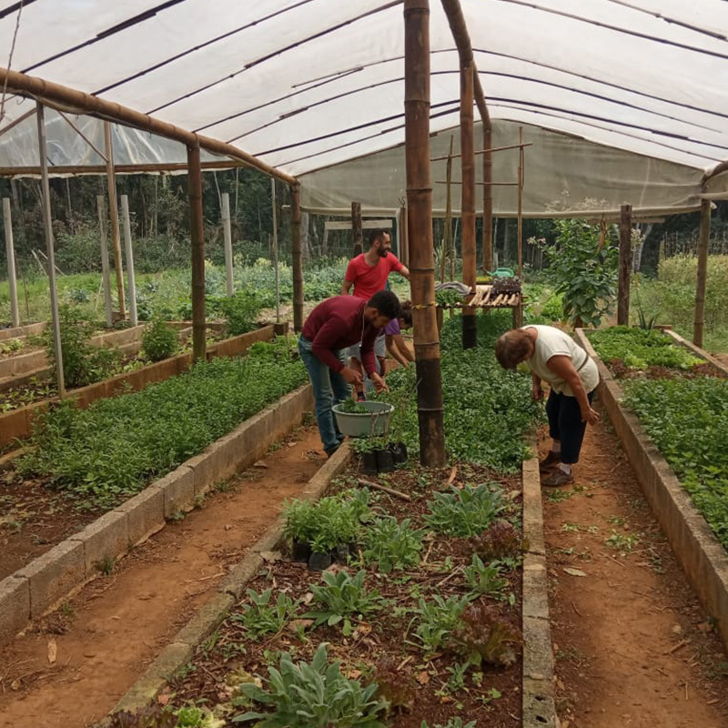 Fundo FICA - Acesso à terra para agricultura justa_7