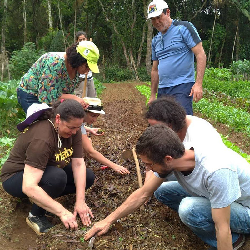 Fundo FICA - Acesso à terra para agricultura justa_8